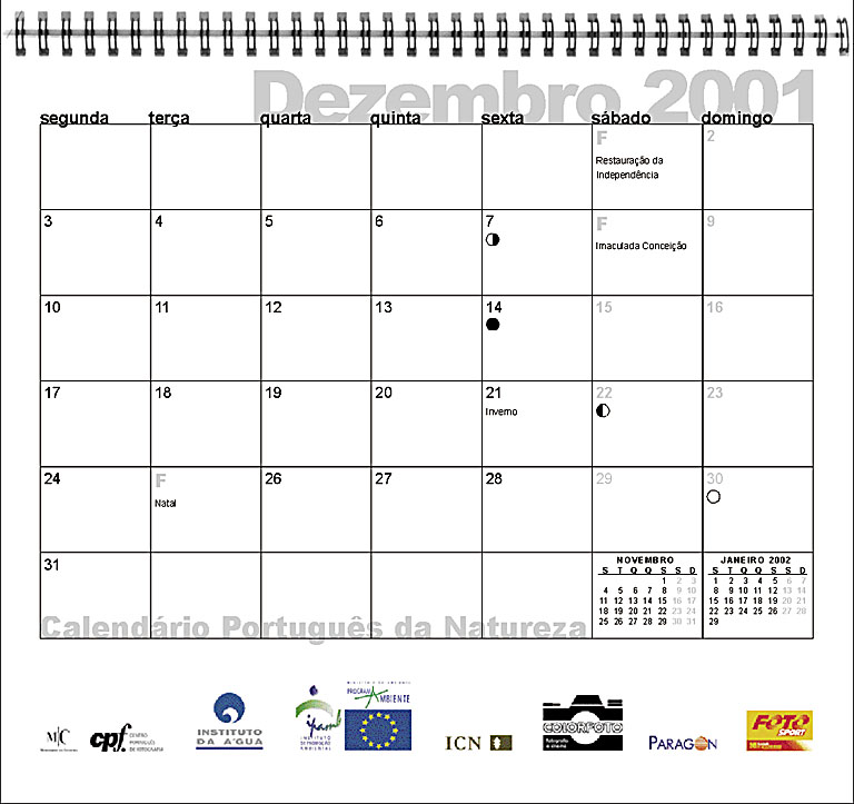 Ver todas as fotos