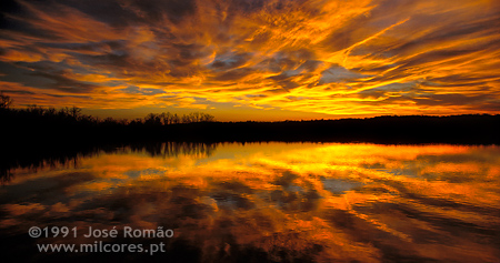 Curso_Iniciacao_Fotografia_3332v8_(C)JoseRomao_milcores.pt