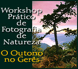 Workshop Prático de Fotografia de Natureza