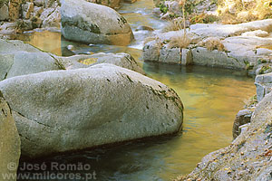 06465A curso de água fluindo entre rochas reflexos dourados Rio Fafião Parque-Nacional-da-Peneda-Gerês