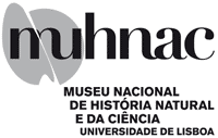 icon do museu de ciência