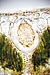JR00425 litocisto com cistolito de carbonato de cálcio, e parênquima em palissada em secção transversal da folha de Ficus magnolioides