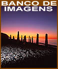Image Bank