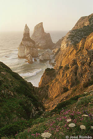Vista para a Praia da Ursa