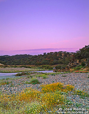 Rio Ardila - Parque de Natureza de Noudar